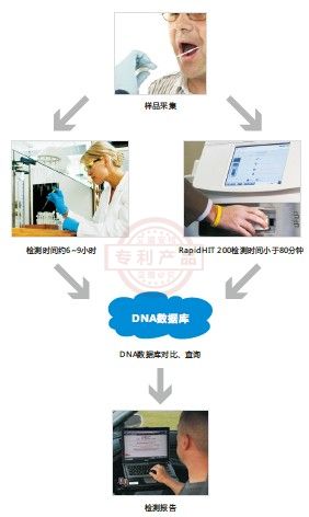 美國RapidHIT200 DNA快速檢測儀